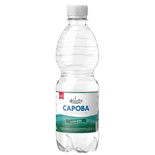 Вода Сарова 0,5л, газ., ПЭТ (12 шт.)