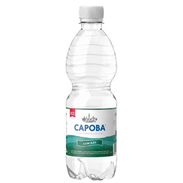 Вода Сарова 0,5л, газ., ПЭТ (12 шт.)