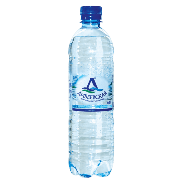 ВОДА "ДИВЕЕВСКАЯ" 0,6Л, ГАЗИРОВАННАЯ (12 ШТ.)