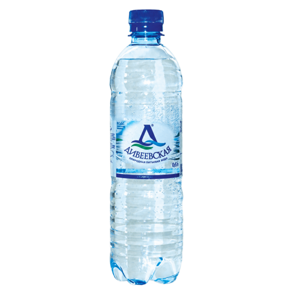 ВОДА "ДИВЕЕВСКАЯ" 0,6Л, ГАЗИРОВАННАЯ (12 ШТ.)